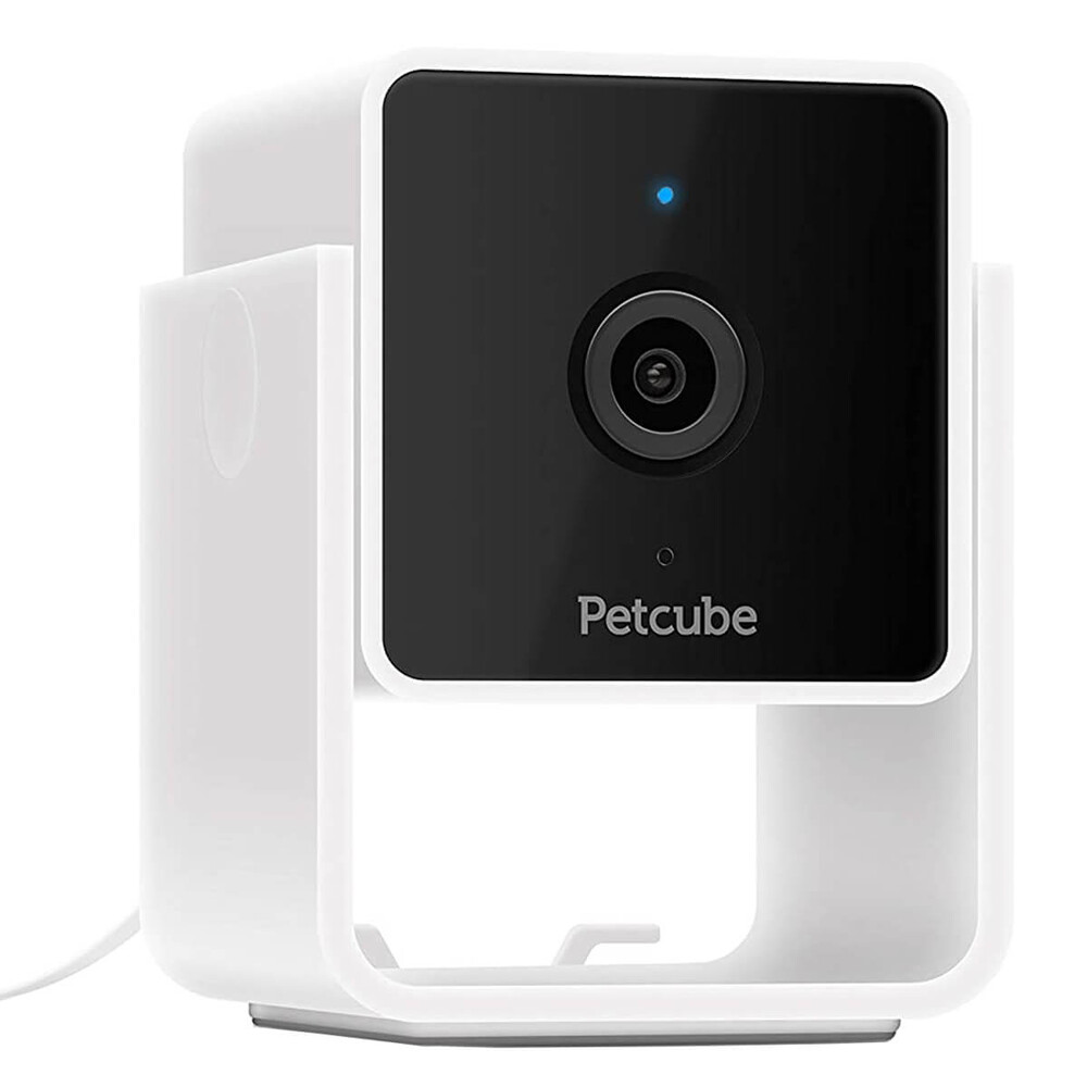 Умная камера видеонаблюдения Petcube Cam для домашних животных (CC10US)  купить с доставкой в Киеве, Львове | HomeHub